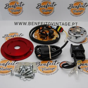 Rotor Minarelli HPI